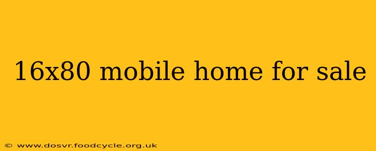 16x80 mobile home for sale