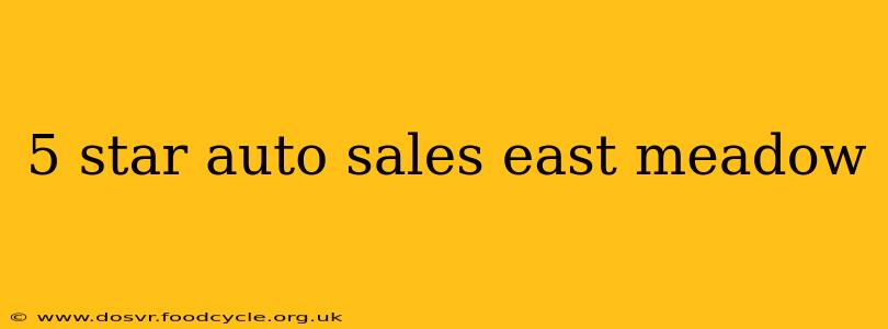 5 star auto sales east meadow