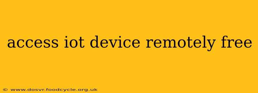 access iot device remotely free