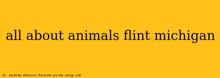 all about animals flint michigan