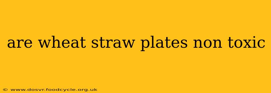 are wheat straw plates non toxic