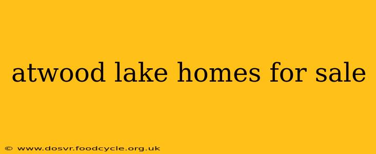 atwood lake homes for sale