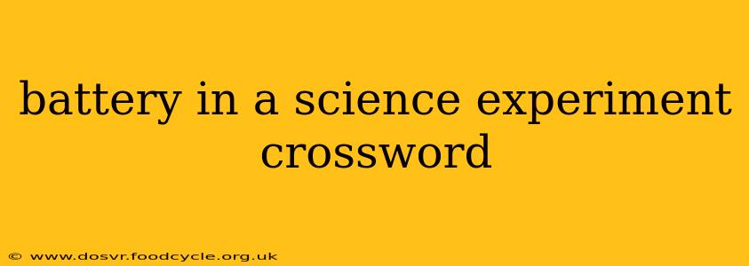 battery in a science experiment crossword