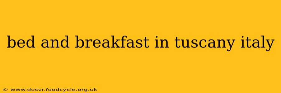 bed and breakfast in tuscany italy
