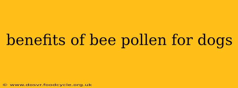 benefits of bee pollen for dogs
