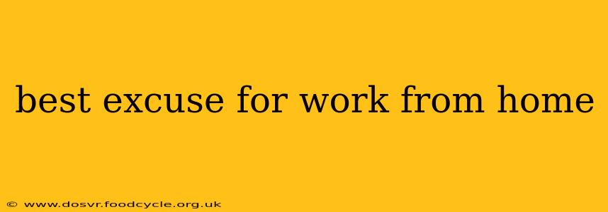 best excuse for work from home