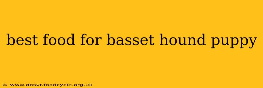 best food for basset hound puppy