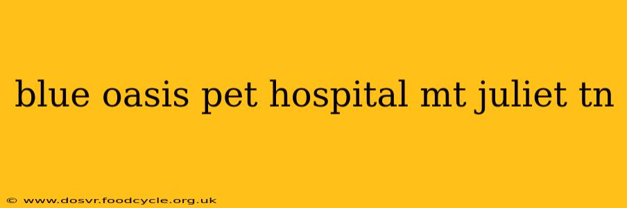 blue oasis pet hospital mt juliet tn