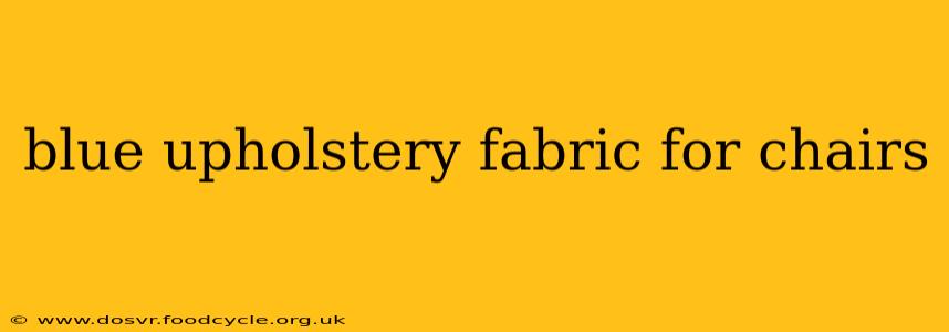 blue upholstery fabric for chairs