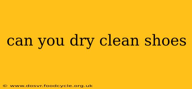 can you dry clean shoes