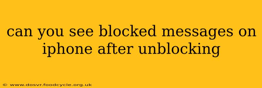 can you see blocked messages on iphone after unblocking