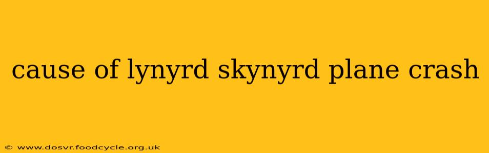 cause of lynyrd skynyrd plane crash