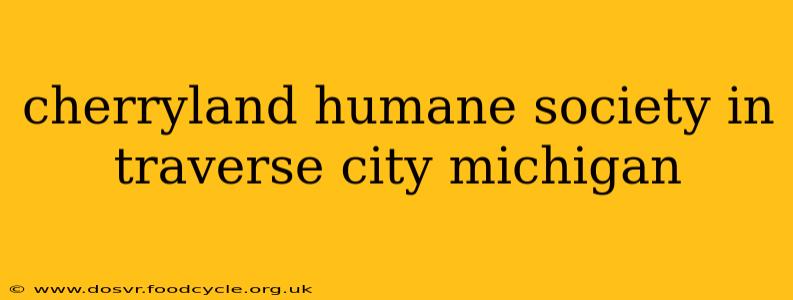 cherryland humane society in traverse city michigan