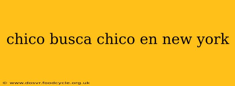 chico busca chico en new york
