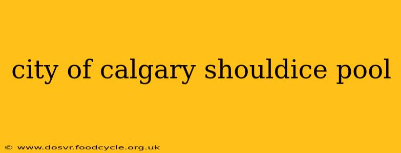 city of calgary shouldice pool