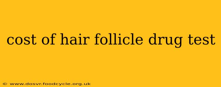 cost of hair follicle drug test