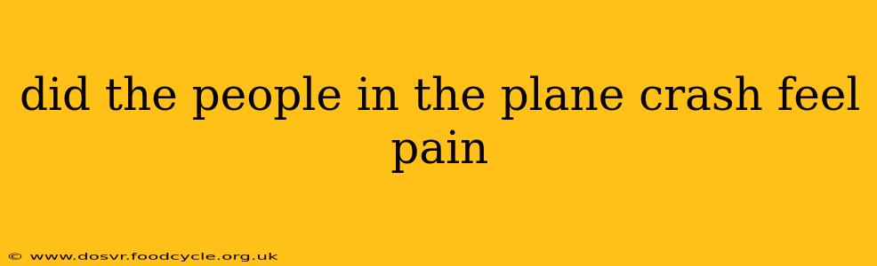 did the people in the plane crash feel pain