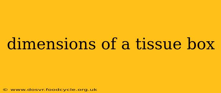 dimensions of a tissue box