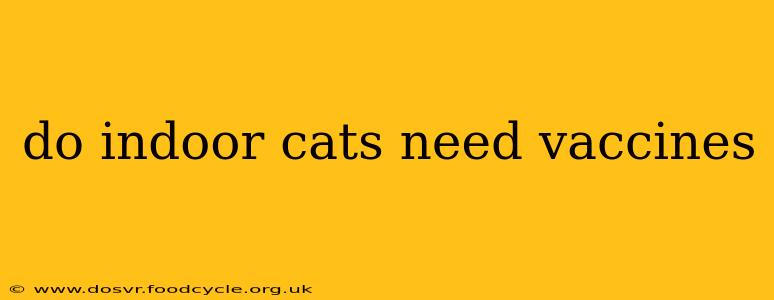 do indoor cats need vaccines