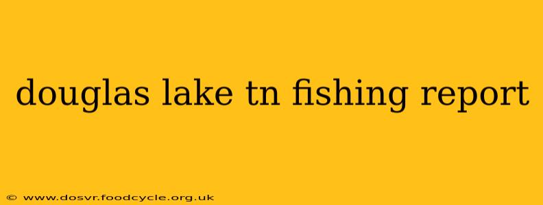 douglas lake tn fishing report