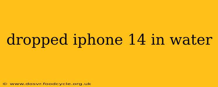 dropped iphone 14 in water
