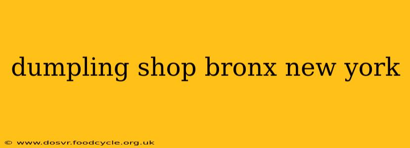 dumpling shop bronx new york