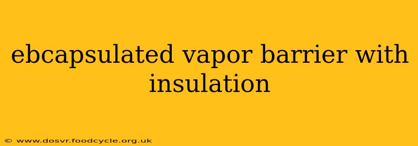 ebcapsulated vapor barrier with insulation