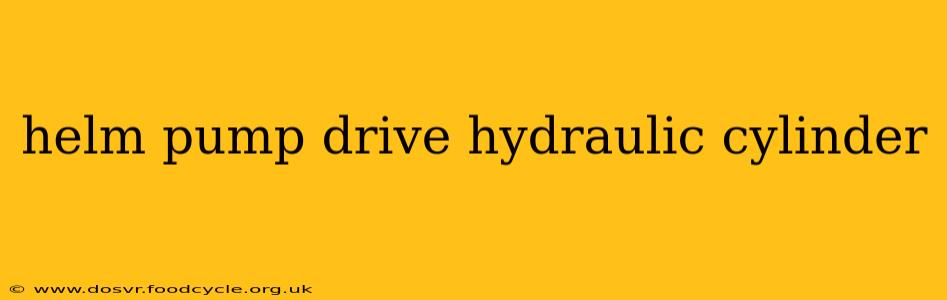 helm pump drive hydraulic cylinder