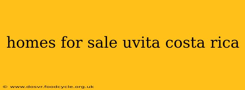 homes for sale uvita costa rica