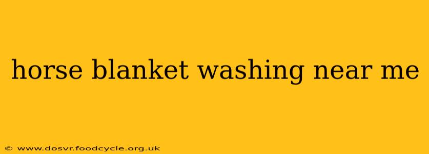 horse blanket washing near me