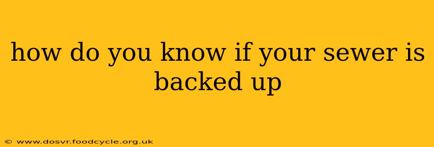 how do you know if your sewer is backed up