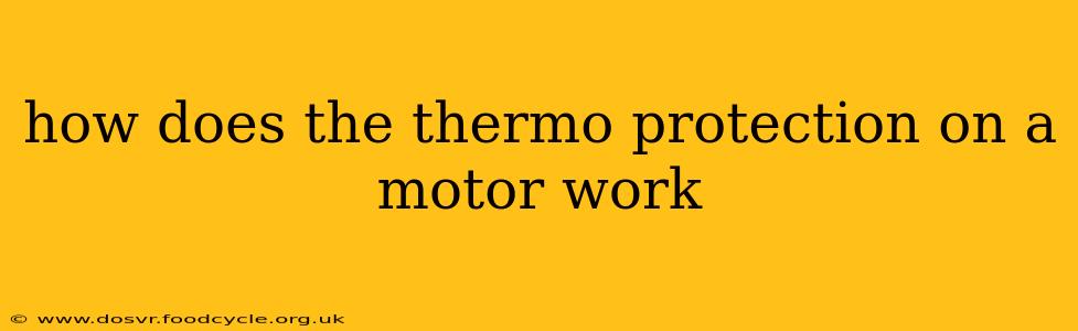 how does the thermo protection on a motor work