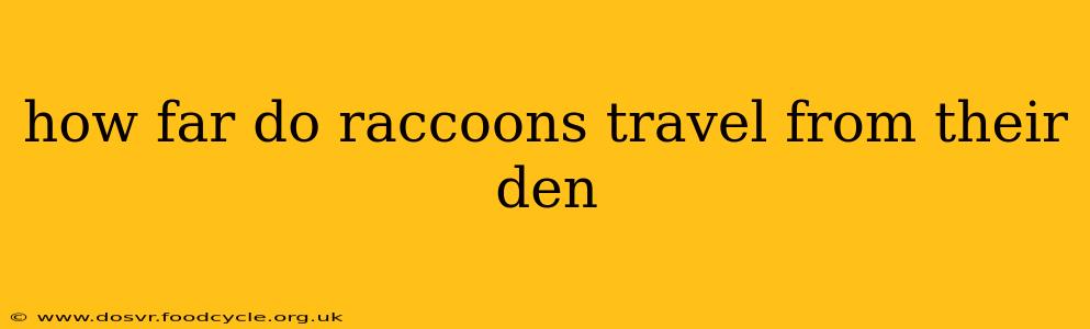 how far do raccoons travel from their den