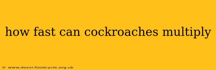 how fast can cockroaches multiply