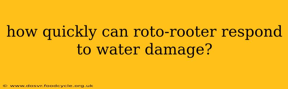 how quickly can roto-rooter respond to water damage?