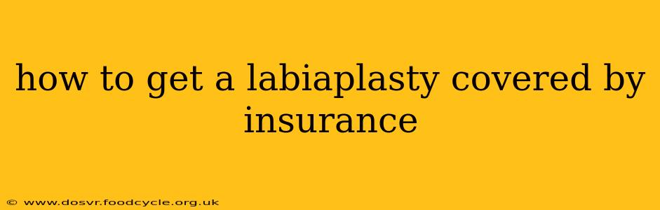 how to get a labiaplasty covered by insurance
