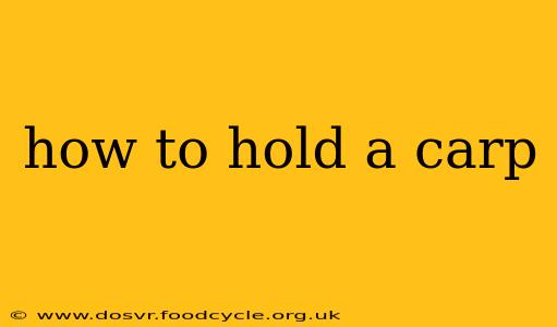 how to hold a carp