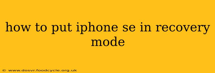 how to put iphone se in recovery mode