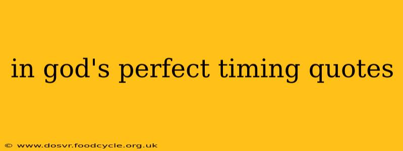 in god's perfect timing quotes