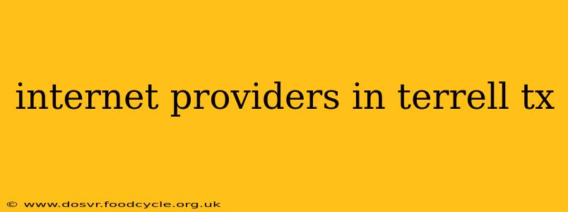 internet providers in terrell tx