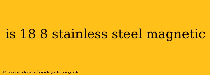 is 18 8 stainless steel magnetic