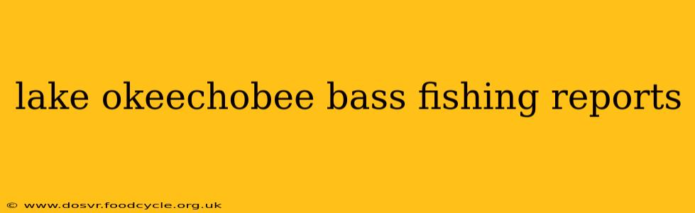 lake okeechobee bass fishing reports
