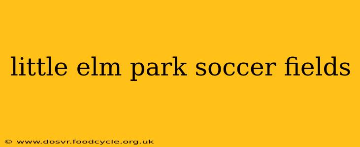 little elm park soccer fields