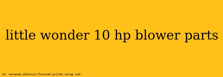 little wonder 10 hp blower parts