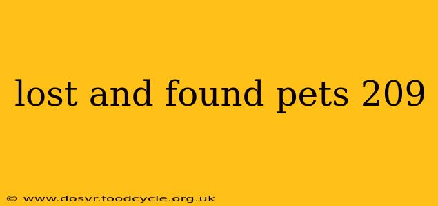 lost and found pets 209