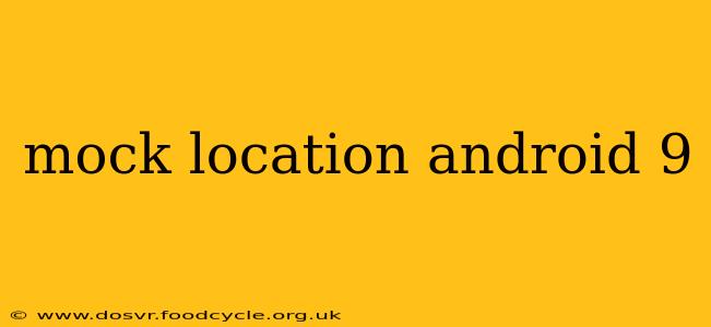mock location android 9