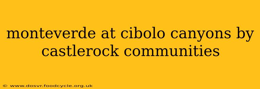 monteverde at cibolo canyons by castlerock communities
