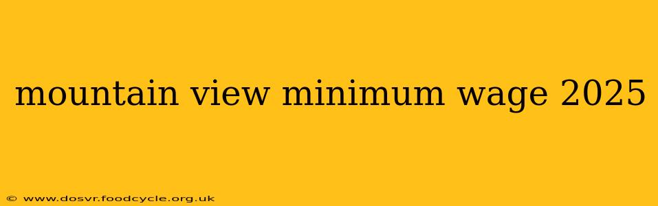 mountain view minimum wage 2025