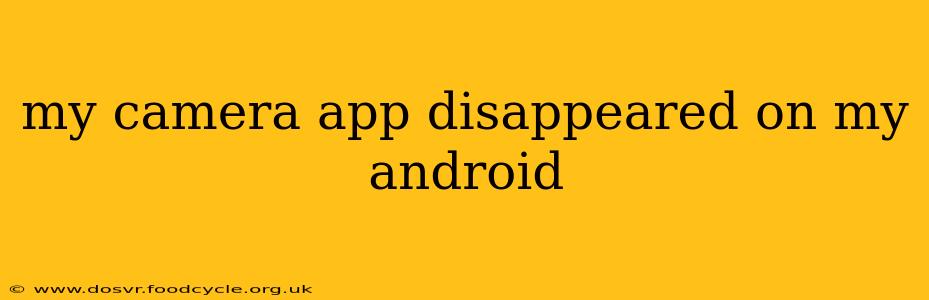 my camera app disappeared on my android
