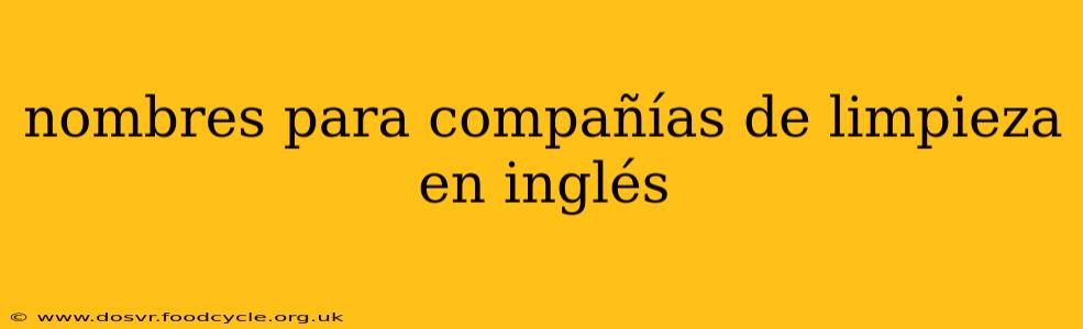 nombres para compañías de limpieza en inglés